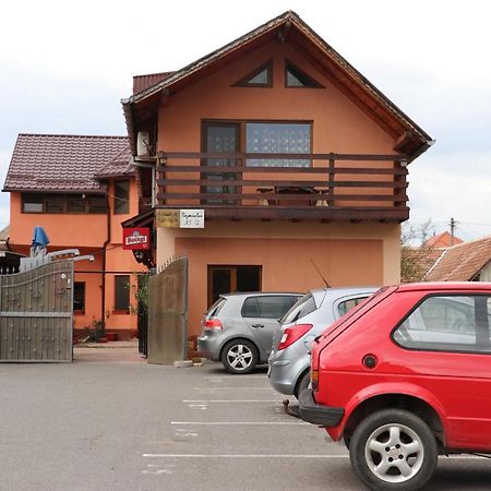 Hotel Amelia House Făgăraş Exterior foto